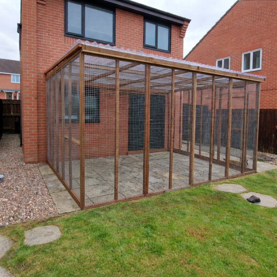 Three-Sided Catio