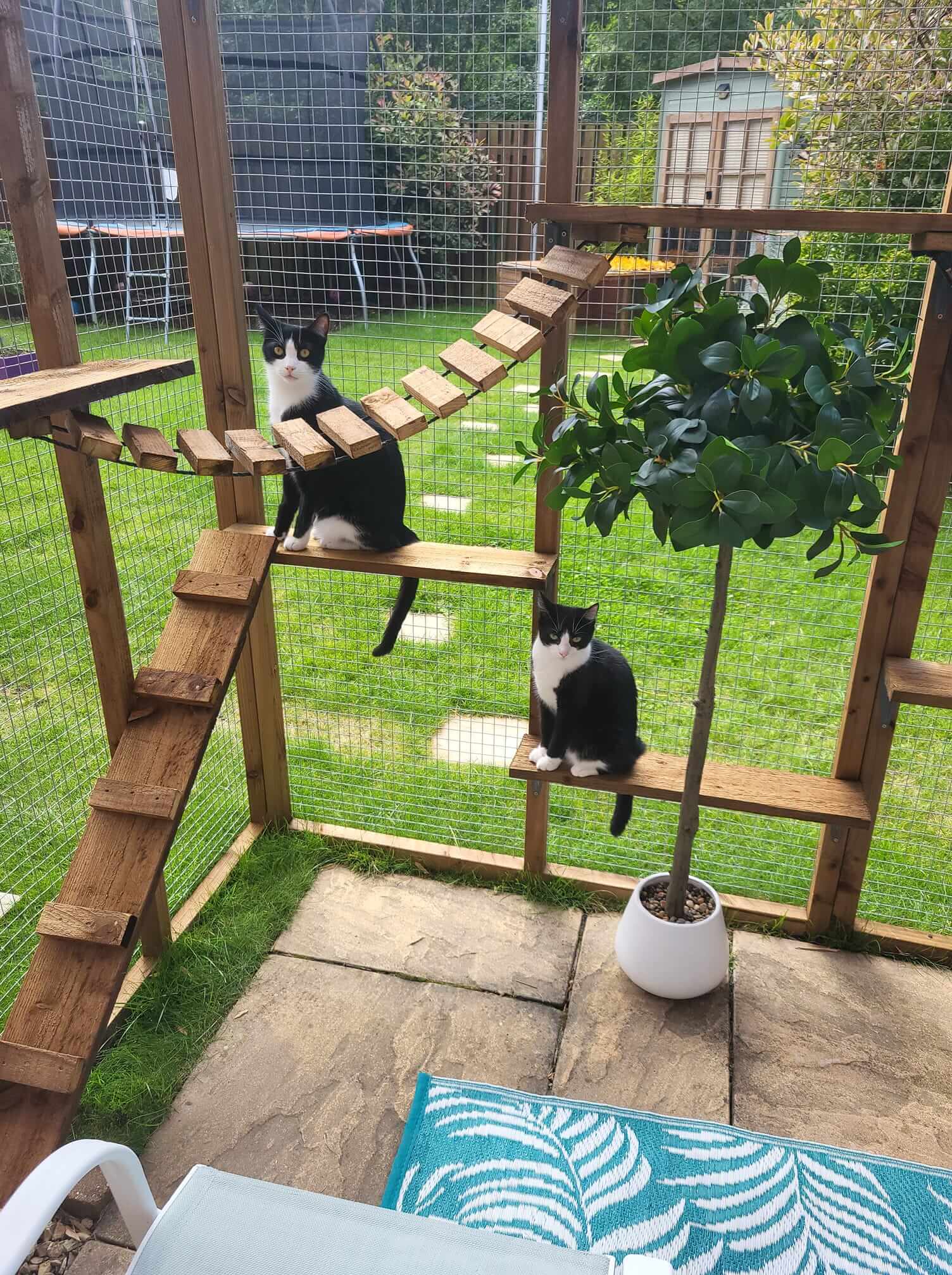 Customer Cats