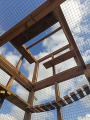 Look Out Tower Catio enclosure