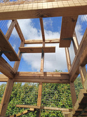 Look Out Tower Catio enclosure