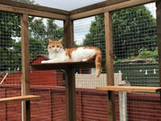 Climberâ's Courtyard - Catio Enclosure