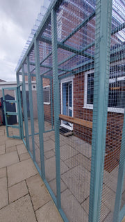 Catio / Cat Lean to Waterproof Roof