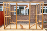 Climberâ's Courtyard - Catio Enclosure