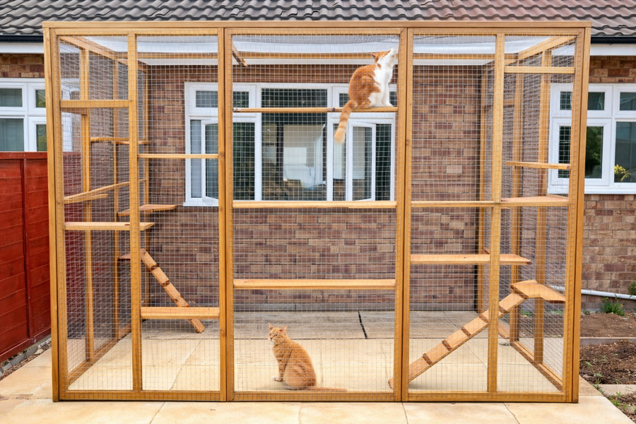 Climberâ's Courtyard - Catio Enclosure