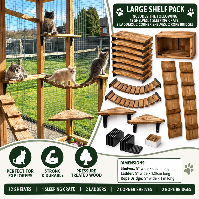 Large Shelf Pack