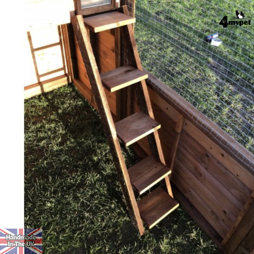 Cat Ladder for Maine Coons and Larger breads