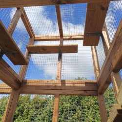 Look Out Tower Catio enclosure 6ft x 9ft  Look Out Tower Catio enclosure 6ft x 9ft