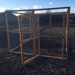 Dog run 8ft x 12ft Chicken Fox Proof Pen Dog run 8ft x 12ft Chicken Fox Proof Pen