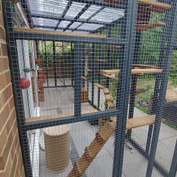 Big Paws Catservatory – 18ft x 6ft x 8ft  Painted Edition 🎨🐾🏡  Big Paws Catservatory – 18ft x 6ft x 8ft  Painted Edition 🎨🐾🏡