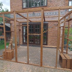 The Meow Manor – 8ft x 12ft x 8ft Lean-To Catio 🏰😺