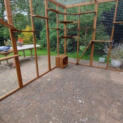 The Meow Manor – 8ft x 12ft x 8ft Lean-To Catio 🏰😺