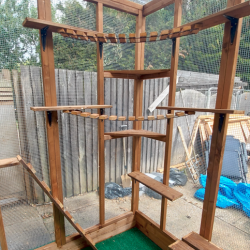 The Meow Mews – 6ft x 9ft x 7.5ft Lean-To Catio 😺🐾🏠