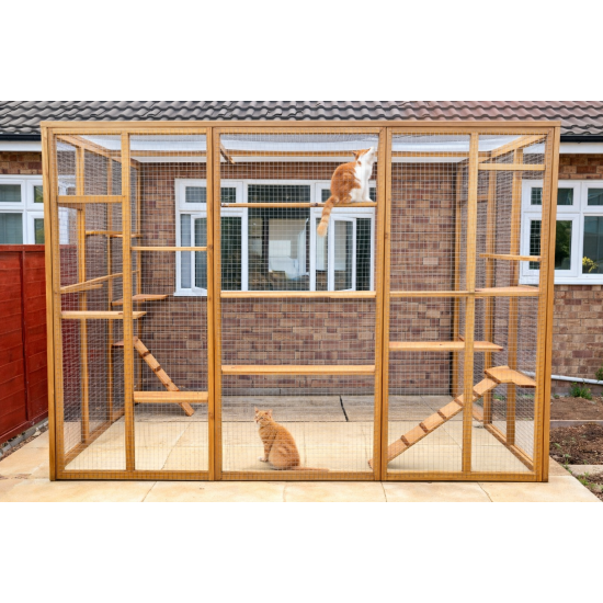 Climber’s Courtyard – 8ft x 6ft x 7.5ft Catio Enclosure