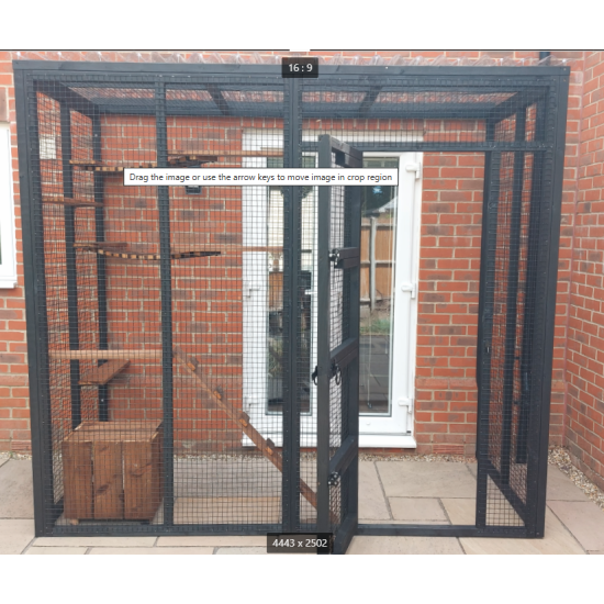 Catio / 3 Sided Cat Run 8ft x 4ft Safe Outdoor Play Pen Catio / 3 Sided Cat Run 8ft x 4ft Safe Outdoor Play Pen