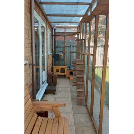 Epic Explorer Catio | 20ft x 4ft x 8ft Lean-To Run for Curious Cats 🐾🐱🌿