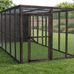 Black Cat Run With Raised Sleeping Box 6ft x 14ft