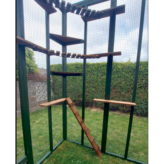 3sided lean to Catio Enclosure 275cm x 275cm 275cm x 275cm tall Painted
