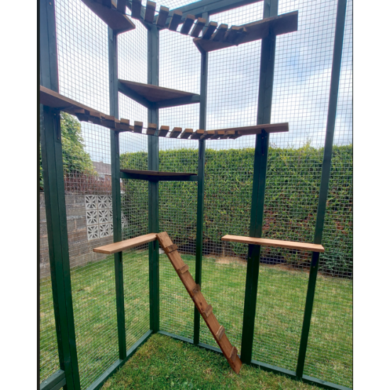 3sided lean to Catio Enclosure 275cm x 275cm 275cm x 275cm tall Painted 3sided lean to Catio Enclosure 275cm x 275cm 275cm x 275cm tall Painted