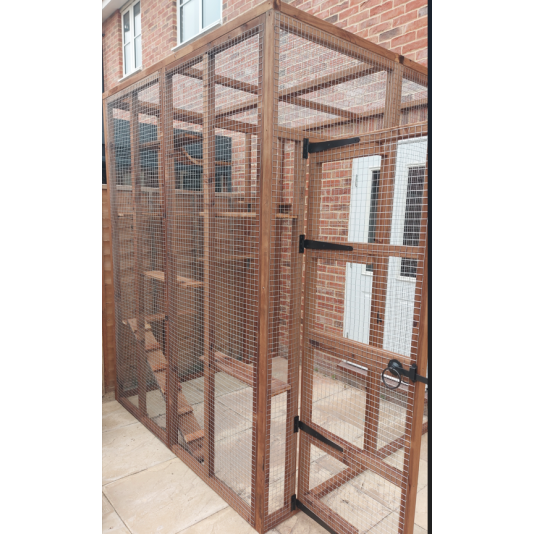 The Garden Den – Three-Sided Catio Retreat (6ft x 6ft x 8ft) 🐾🏡🌿
