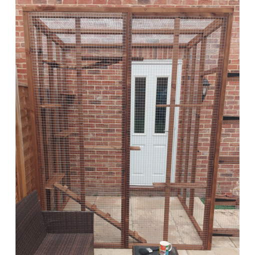 The Garden Den – Three-Sided Catio Retreat (6ft x 6ft x 8ft) 🐾🏡🌿