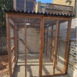 3 Sided Catio with Lookout Tower 3 Sided Catio with Lookout Tower