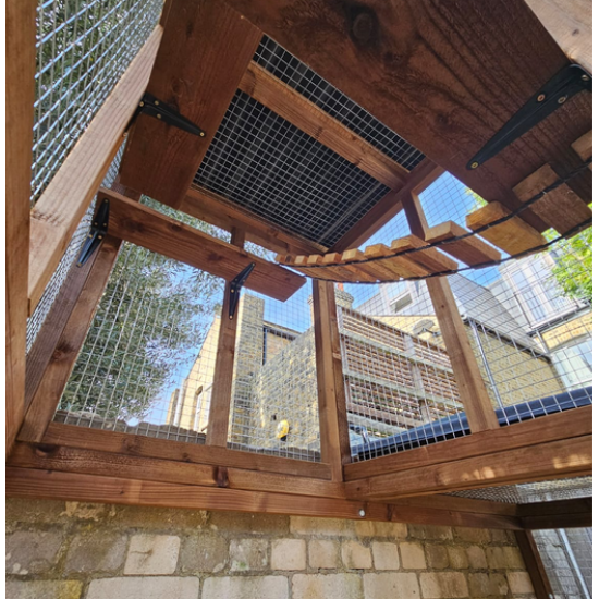 3 Sided Catio with Lookout Tower 3 Sided Catio with Lookout Tower