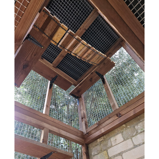 3 Sided Catio with Lookout Tower 3 Sided Catio with Lookout Tower