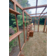 Cat House / Play Pen With Sleeping Box 12ft x 6ft Cat House / Play Pen With Sleeping Box 12ft x 6ft
