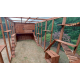 Cat House / Play Pen With Sleeping Box 12ft x 6ft Cat House / Play Pen With Sleeping Box 12ft x 6ft