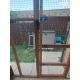 3 Sided Catio 7ft deep x 12ft wide x 8ft Catservatory 3 Sided Catio 7ft deep x 12ft wide x 8ft Catservatory