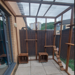 Explorer’s Haven – 12ft x 7ft x 8ft Three-Sided Cat Run 🐱 🔍🐾  Explorer’s Haven – 12ft x 7ft x 8ft Three-Sided Cat Run 🐱 🔍🐾