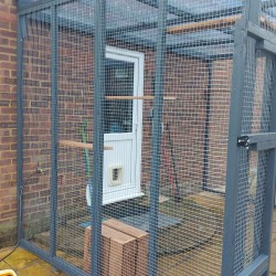 The Explorerβs Nook β 8ft x 6ft x 7.5ft Lean-To Catio π±π‘πΎ The Explorerβs Nook β 8ft x 6ft x 7.5ft Lean-To Catio π±π‘πΎ
