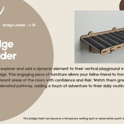 Wall mounted bridge ladder for cats