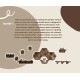 Wall Mounted Indoor Cat Furniture Bundle 1