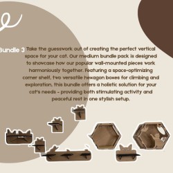 Wall Mounted Indoor Cat furniture Bundle 3