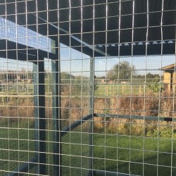 Blue Painted 12ft x 8ft Chicken/Cat Run – Waterproof Roof |16G Fox-Proof Mesh Blue Painted 12ft x 8ft Chicken/Cat Run – Waterproof Roof |16G Fox-Proof Mesh