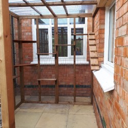 Whisker Way Lean-To β 9ft x 8ft Outdoor Enclosure for Curious Cats πΏπ±π‘  Whisker Way Lean-To β 9ft x 8ft Outdoor Enclosure for Curious Cats πΏπ±π‘