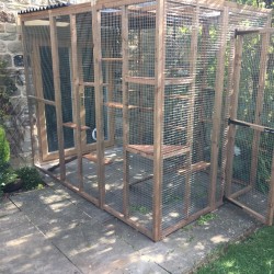 Whisker Wonderland – 9ft x 6ft Lean-To Catio 🐱🌿🎪