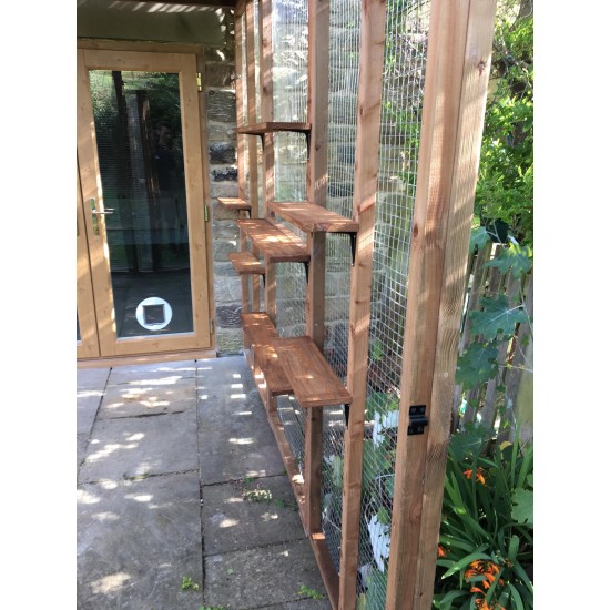 Whisker Wonderland – 9ft x 6ft Lean-To Catio 🐱🌿🎪