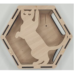 Wall Mounted Hexagon Box With Filler for cats