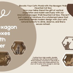 Wall Mounted Hexagon Box With Filler for cats