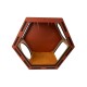 Hand Painted and Natural Indoor Cat Hex Box With Open Front Hand Painted and Natural Indoor Cat Hex Box With Open Front