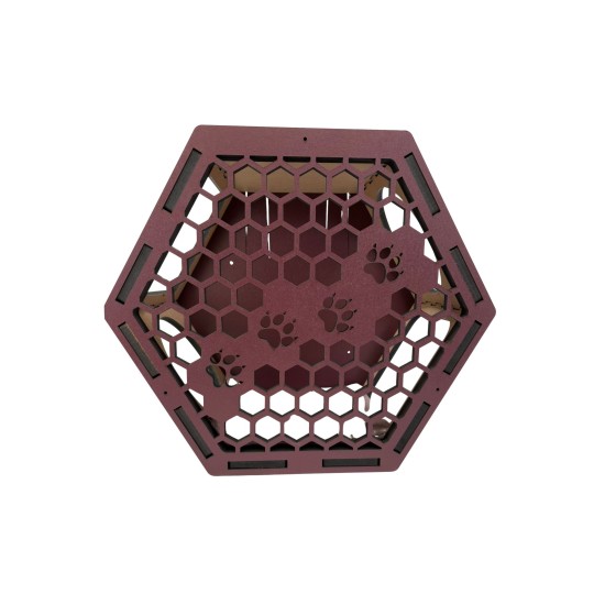 Hand Painted and Natural Indoor Cat Hex Box With Front Panel Hand Painted and Natural Indoor Cat Hex Box With Front Panel