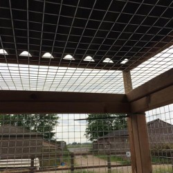 Bird Aviary 6ft x 6ft 19G Chicken Run Budget Waterproof Enclosure