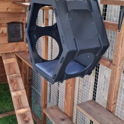 Large Breed shelf pack with Hex Box Large Breed shelf pack with Hex Box