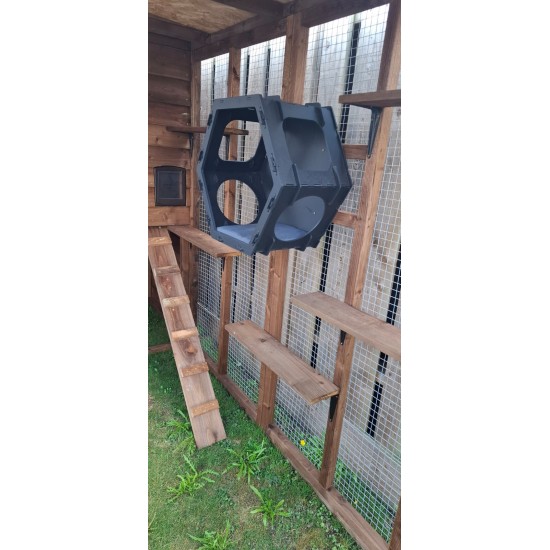 Explorerβs Haven β 12ft x 7ft x 8ft Three-Sided Cat Run π± ππΎ  Explorerβs Haven β 12ft x 7ft x 8ft Three-Sided Cat Run π± ππΎ