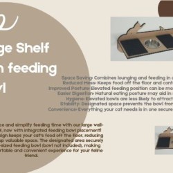 Wall Mounted Large Shelf With Feeding Bowl for cats
