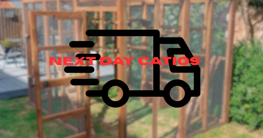 Next Day Catios ⏩🚚