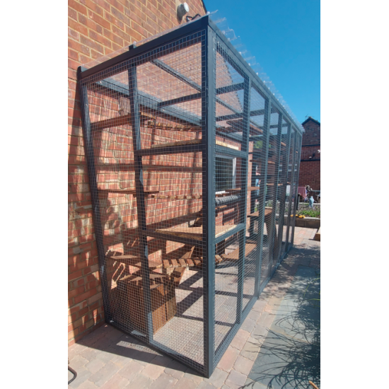 The Catwalk Vista – 12ft x 4ft x 8ft Lean-To Catio 🐾✨🐈‍⬛