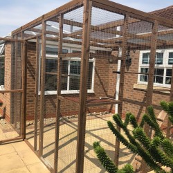 Large 2 Sided Catio